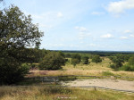 De Borkeld